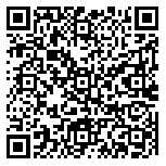 QR code 10066081600000