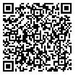 QR code 53243832200000