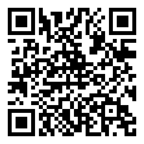 QR code 38331566900000