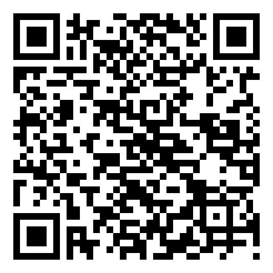 Solvendo QR code QR code 38020816300000