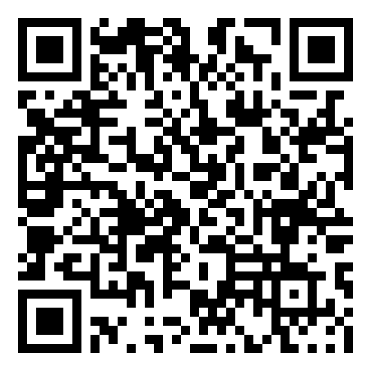 Speed QR code QR code 19119401300000