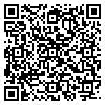 QR code 35106138900000