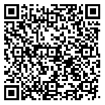 QR code 36383661600000
