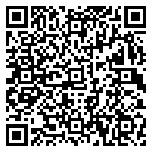 QR code 10132029300000
