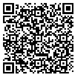 QR code 38883938300000