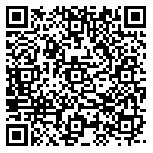 QR code 38210812900000
