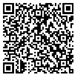 QR code 38170948200000