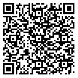 QR code 38238160600000