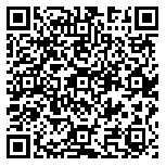 QR code 38344127900000