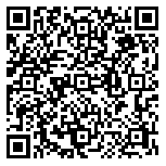 QR code 38543063000000