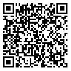 QR code 54481738100000
