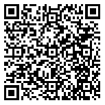 QR code 38127450600000