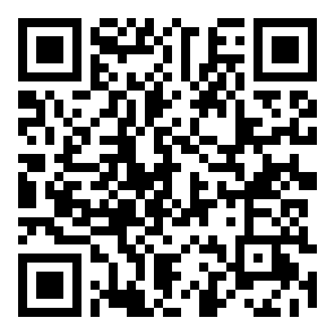 QR code 38678379600000
