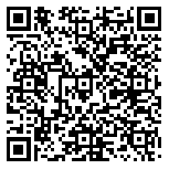 QR code 20062951300000