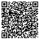 QR code 38030380300000