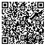 QR code 38538314900000