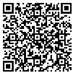 QR code 24029780100000