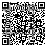 QR code 38482616500000