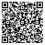 QR code 45119510600000