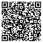 QR code 52538716500000