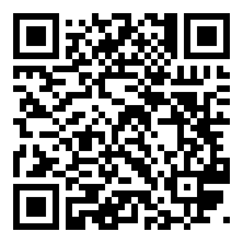 QR code 38633016100000