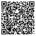 QR code 14017382900000