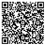 kod QR z danymi kontaktowymi 29066300000000