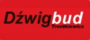 Michal Trentkiewicz Dzwigbud logo Michal Trentkiewicz Dzwigbud logo