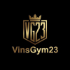 Vinsgym23 logotype
