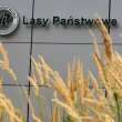 Przejęcie spółki IT nie spodobało się NIK