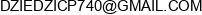 Przedsiebiorstwo Handlowo Uslugowe Piotr Dziedzic Email address