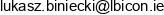 Lbicon Projektowanie Konstrukcji Lukasz Biniecki Email address