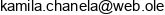 C K Land Christian Stepien Adres e-mail