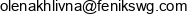 Feniks Welding Group Email address