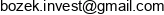 Bozek Invest Email address