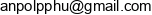 Przedsiebiorstwo Produkcyjno Handlowo Uslugowe Anpol Email address