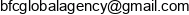 Bfcga Email address