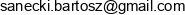 Bartosz Sanecki Bs Consulting Email address