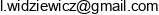Wibiz Adres e-mail