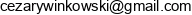 Cezary Winkowski Wiz Consulting Email address