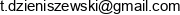 Invento Tomasz Dzieniszewski Email address