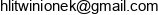 Zaklad Elektroniczny Hubert Litwinionek Email address