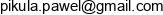 Pawel Pikula Consulting Email address