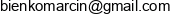 Auto Serwis Marcin Bienko Email address