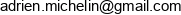 Ami Consulting Adrien Michelin Email address