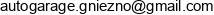 Ab Auto Garage Gniezno Bartlomiej Repschlager Email address