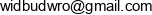 Widbud Email 1