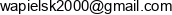 Wapielsk 2000 Email address