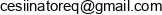 Ignacento Cezary Romanowski Email address