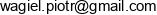 Bryle Piotr Wagiel Adres e-mail